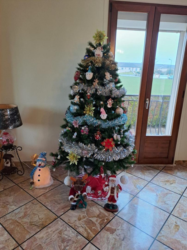photo 39