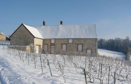 G&icirc;te n&deg;51G305 Baye - Marne - g&icirc;te en hiver
51G305 - G&icirc;te des Vignes - Baye - G&icirc;tes de France Marne