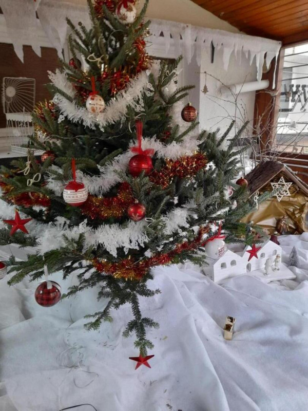 photo 39